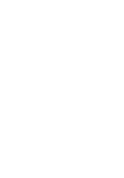 İletir Promosyon,Cricket,Promotürk